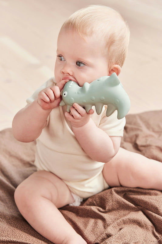 Theo Dino Teether Pale