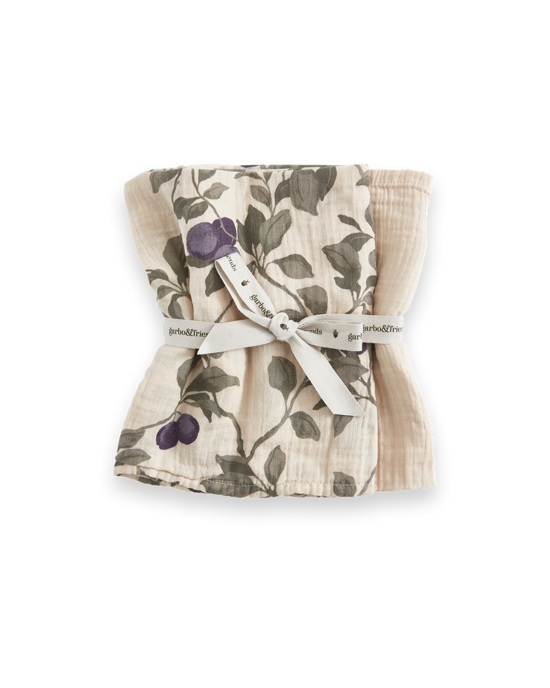 Muslin Blanket 2 pcs 60x60 cm