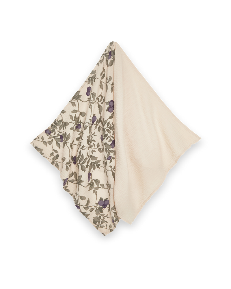 Muslin Blanket 2 pcs 60x60 cm