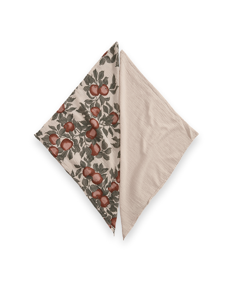 Muslin Blanket 2 pcs 60x60 cm