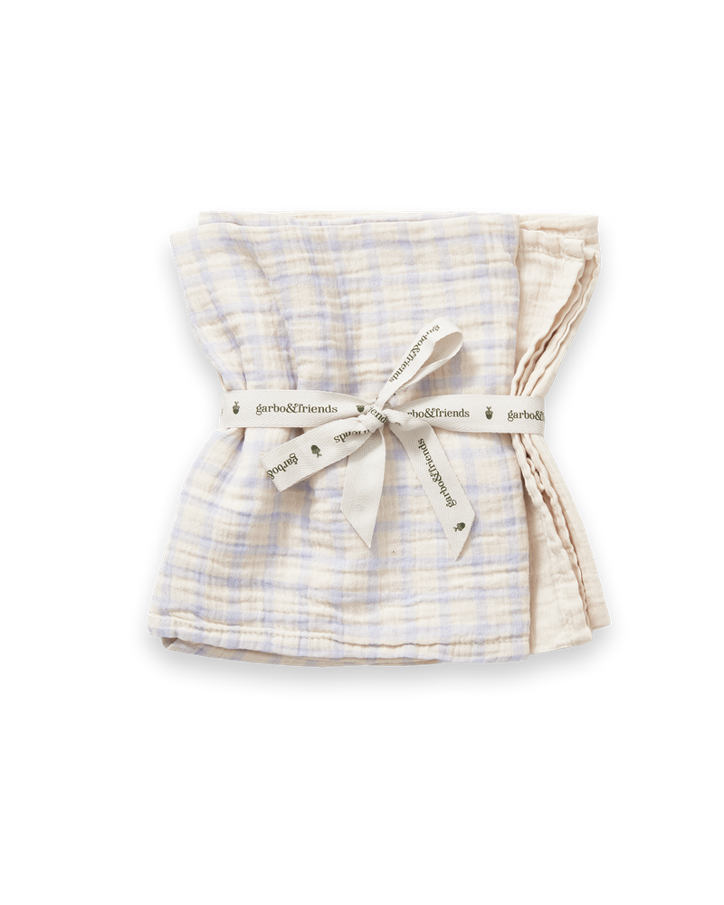 Muslin Blanket 2 pcs 60x60 cm