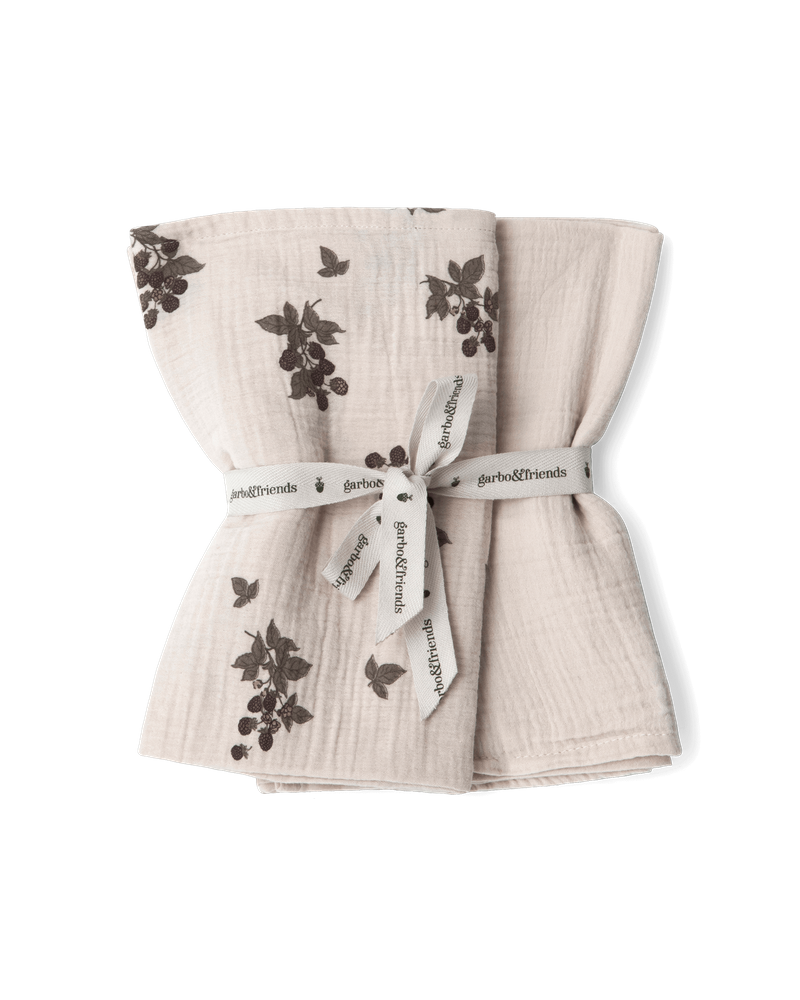 Muslin Blanket 2 pcs 60x60 cm