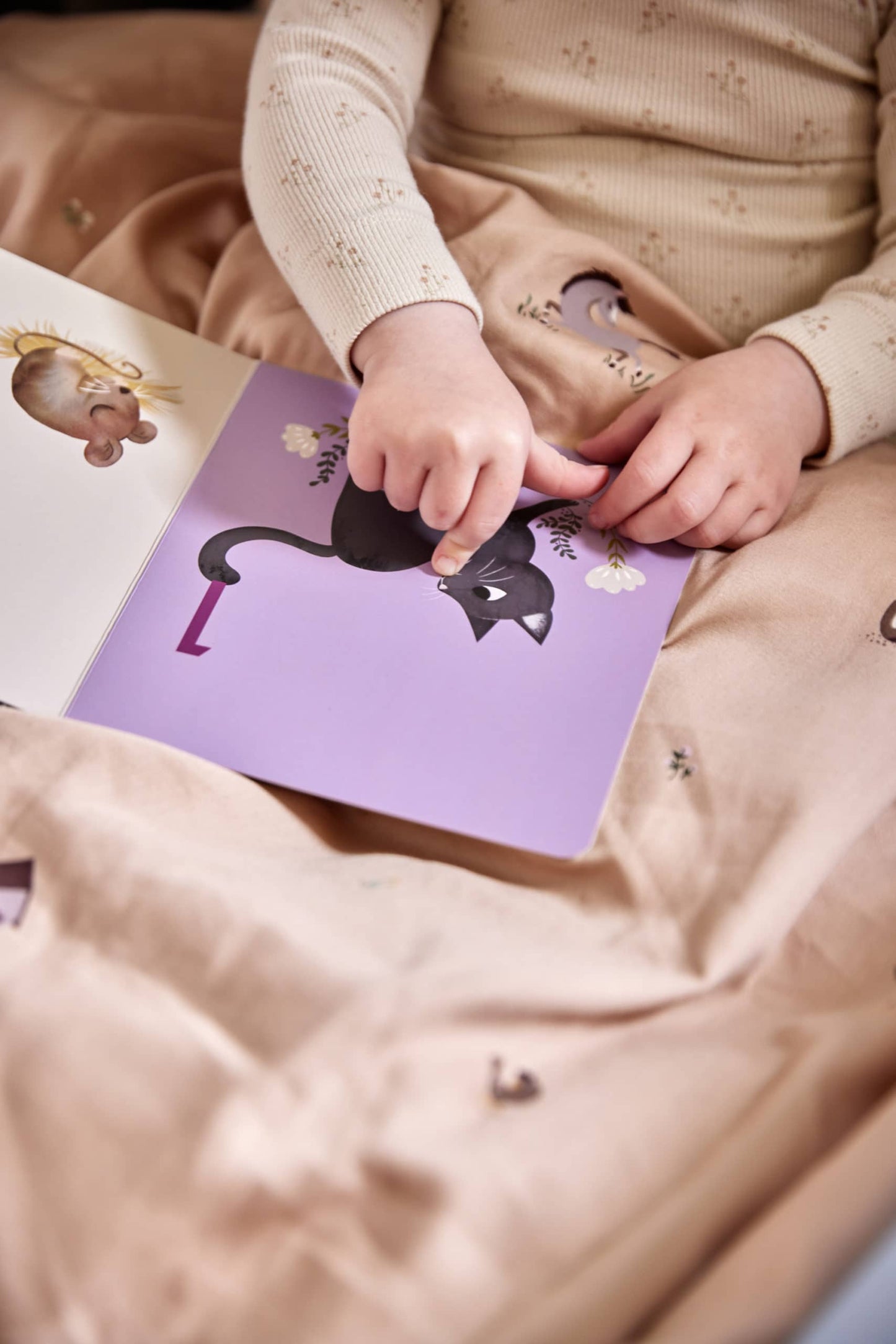 Baby book - Count to Ten