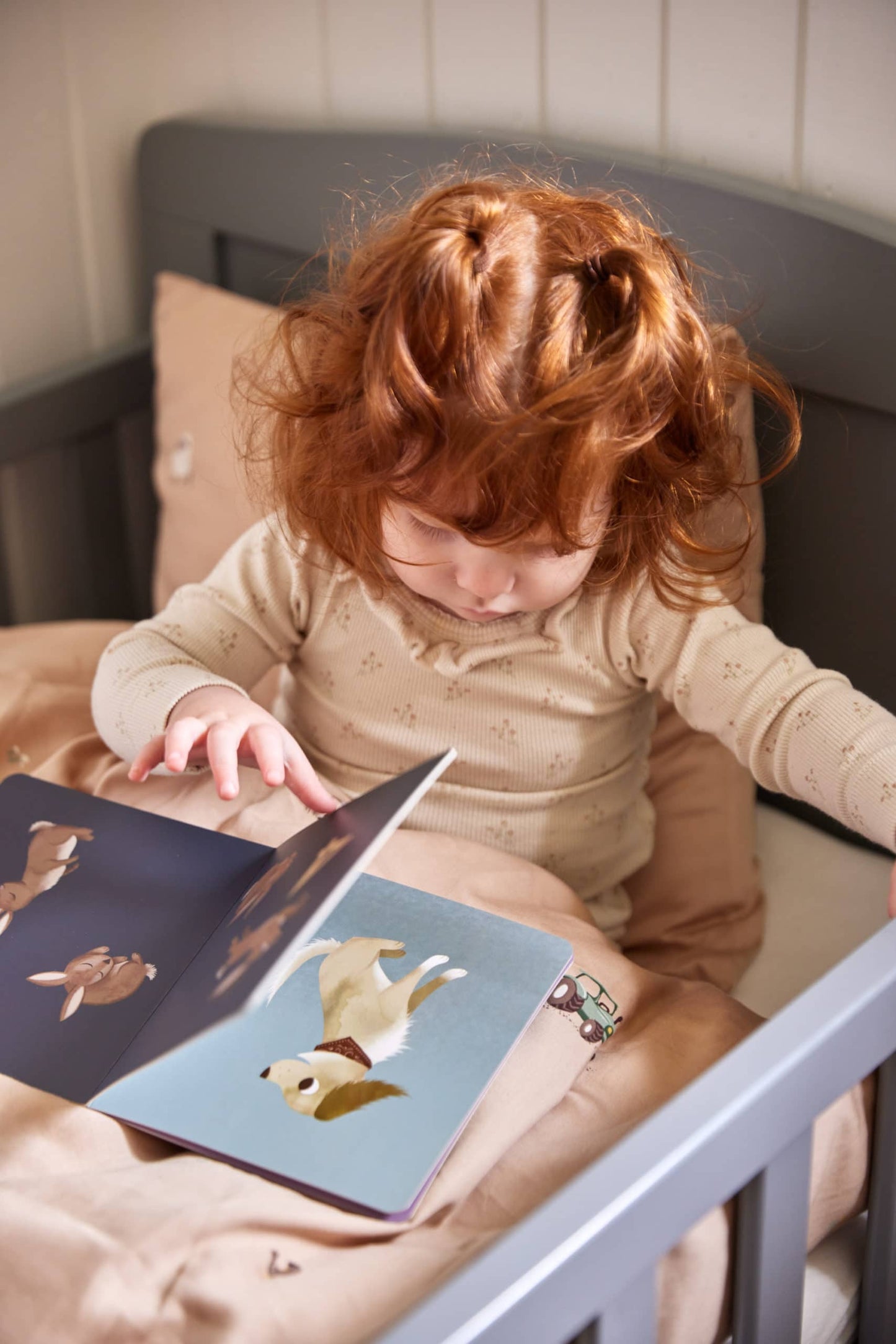 Baby book - Count to Ten