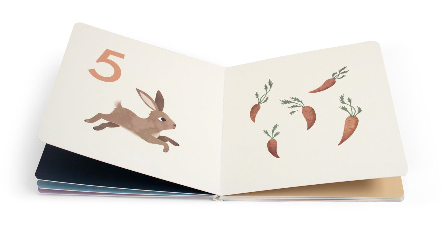 Baby book - Count to Ten