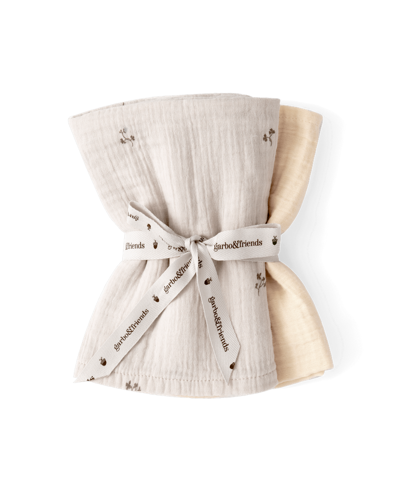 Muslin Blanket 2 pcs 60x60 cm