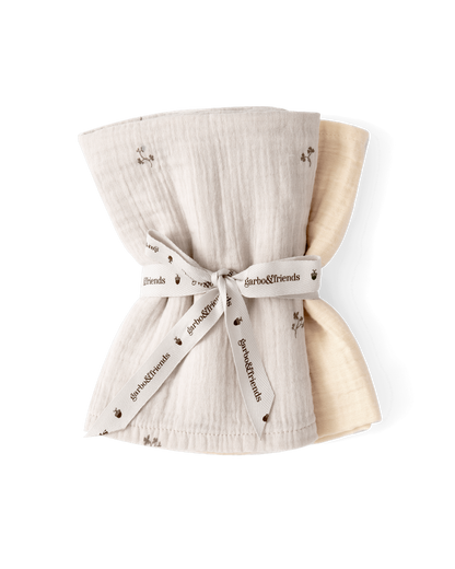 Muslin Blanket 2 pcs 60x60 cm