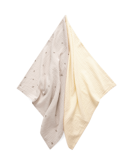 Muslin Blanket 2 pcs 60x60 cm