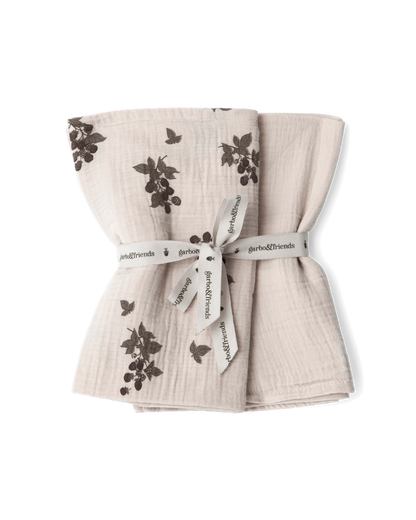 Muslin Blanket 2 pcs 60x60 cm