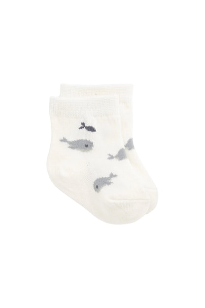 Whale Sock - Could Whales