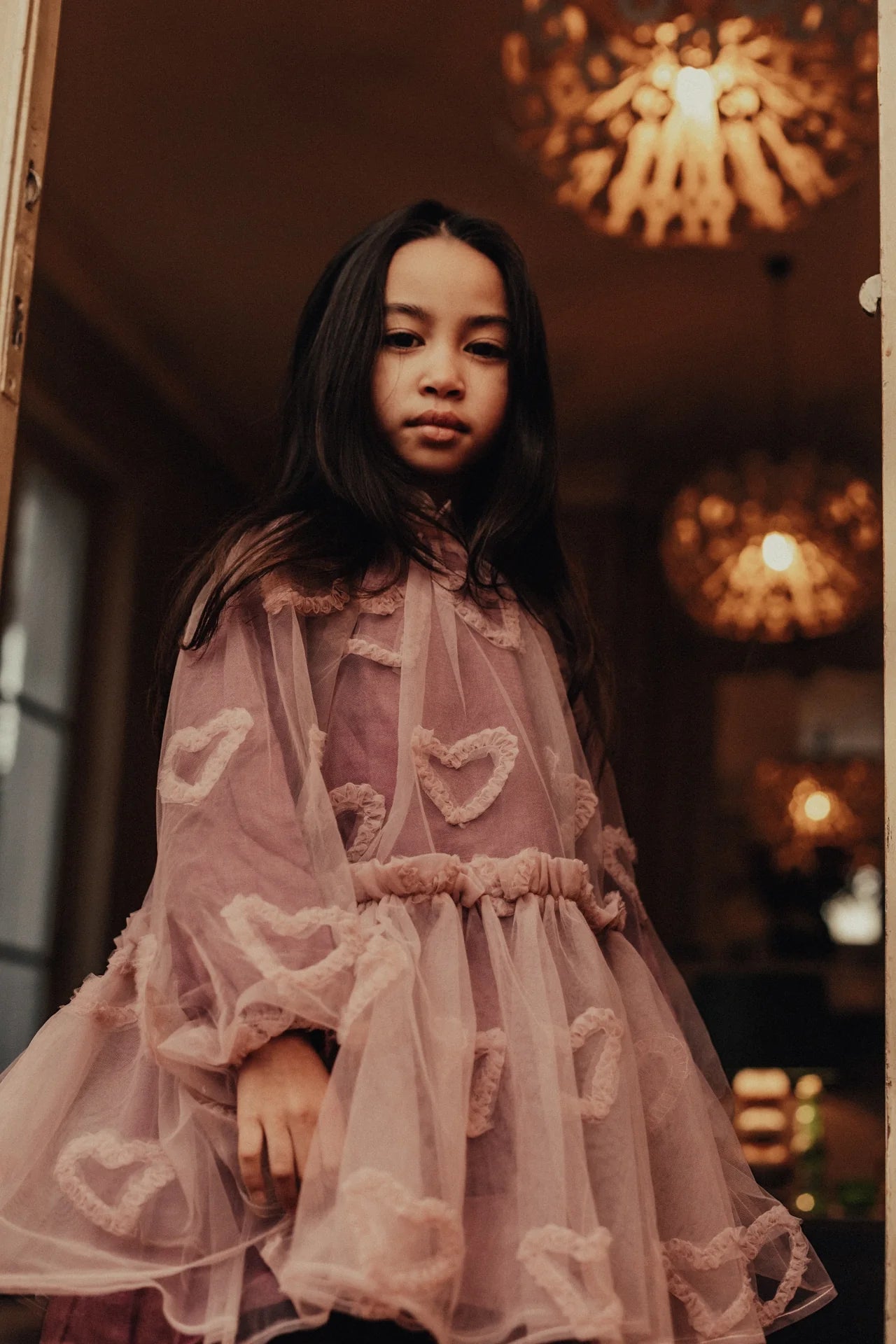 Camberlya| Purple plum