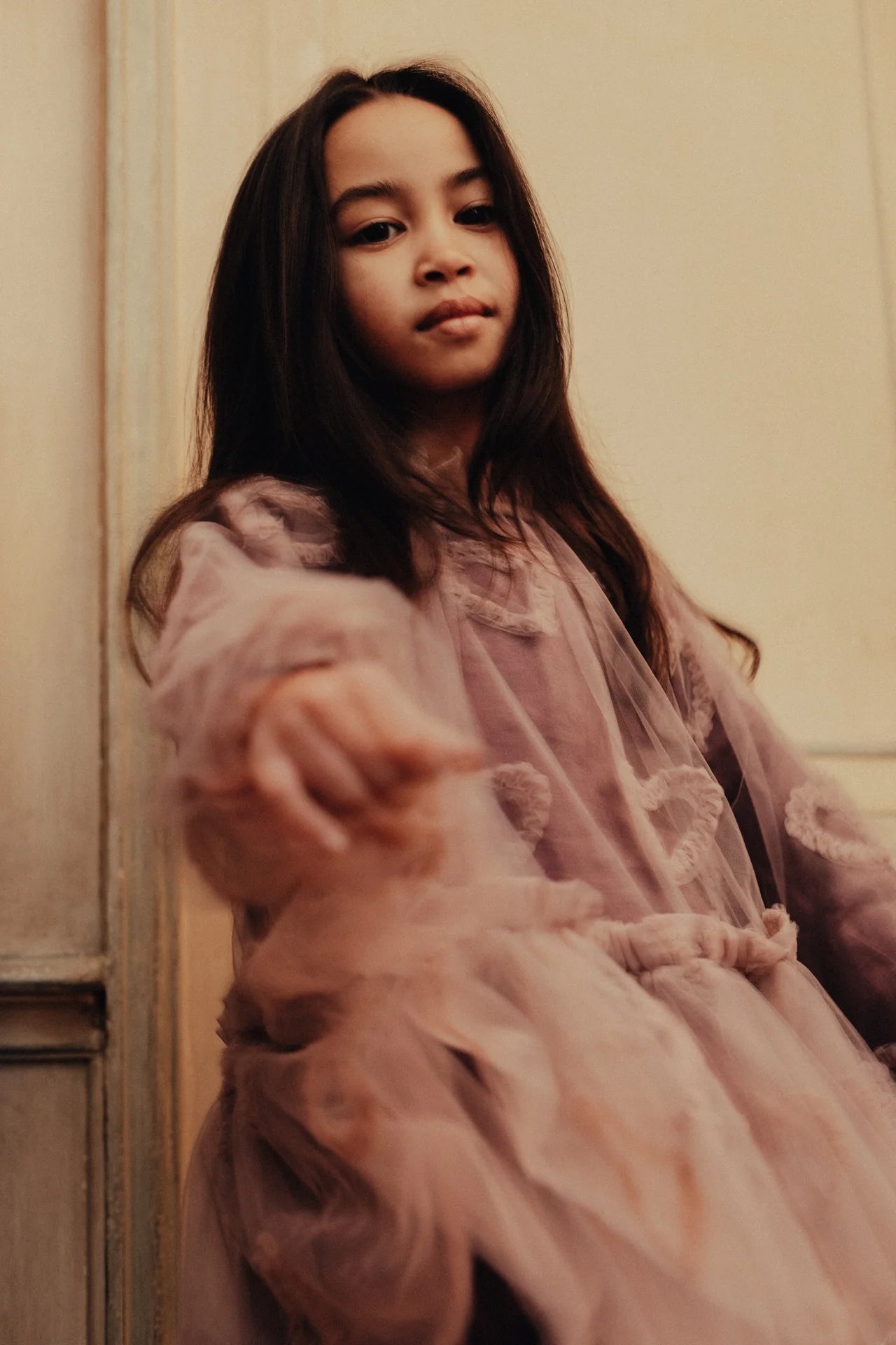 Camberlya| Purple plum