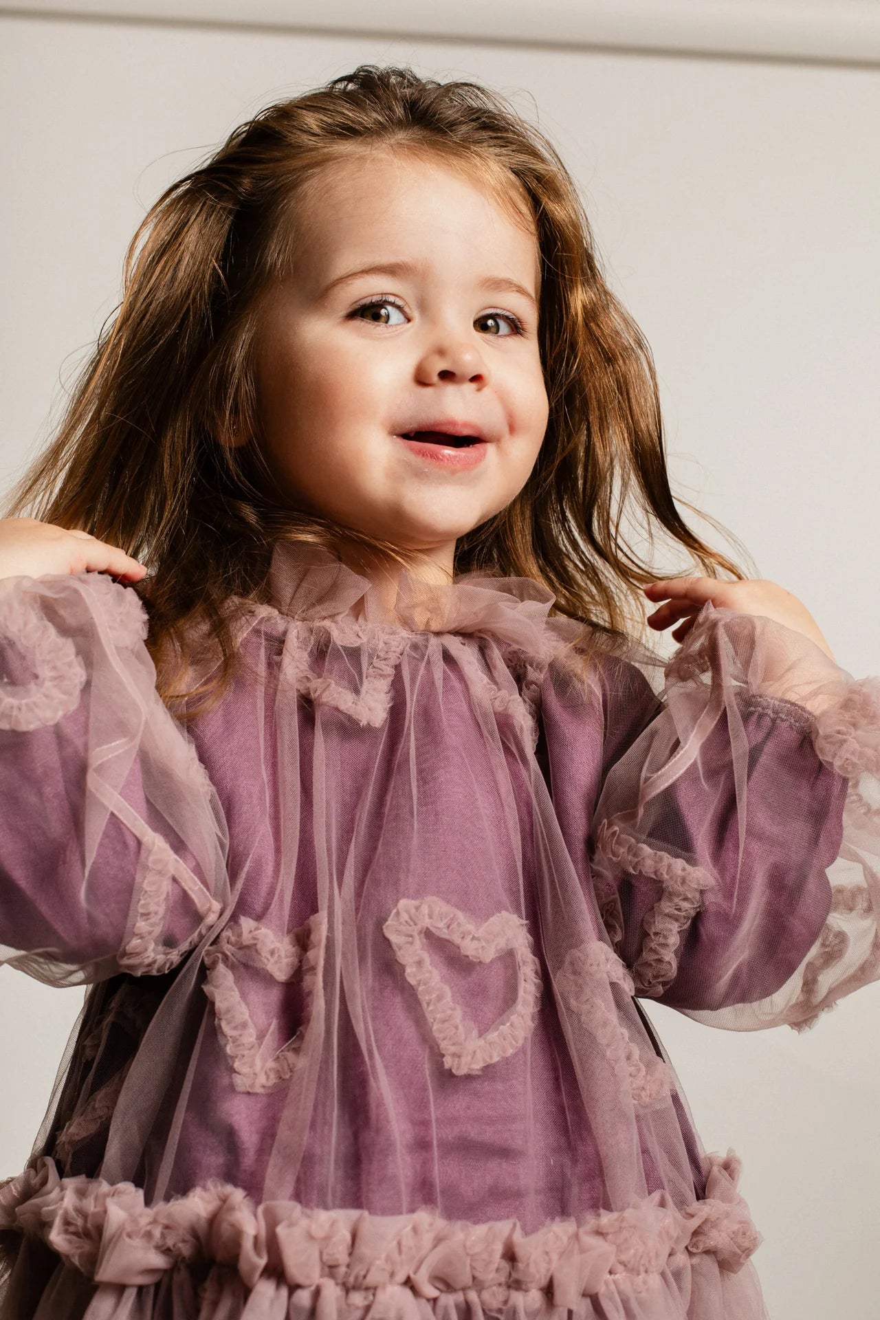 Camberlya| Purple plum