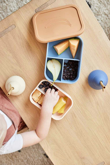 Yummy Lunch Box